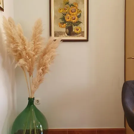 Apartment Comfort Smokva